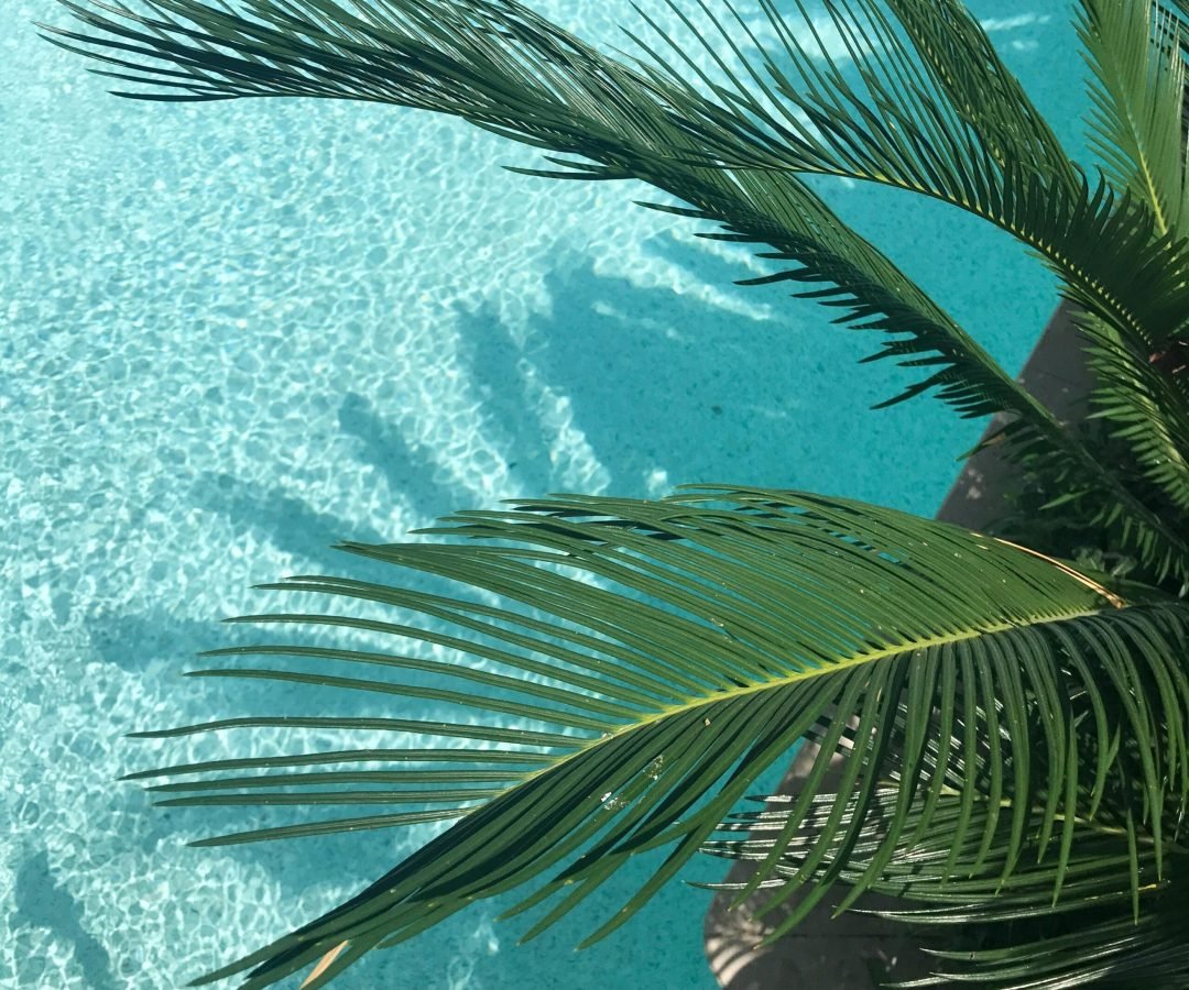 Idyllic view of palm leaves casting shadows on a turquoise pool, capturing a tropical vibe.
